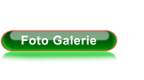 Foto Galerie