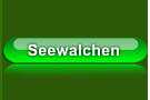 Seewalchen