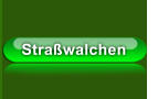 Straßwalchen