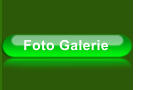 Foto Galerie