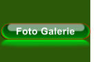 Foto Galerie