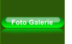 Foto Galerie