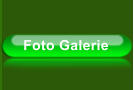 Foto Galerie