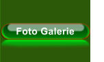 Foto Galerie