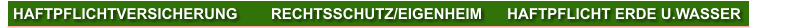 HAFTPFLICHTVERSICHERUNG        RECHTSSCHUTZ/EIGENHEIM      HAFTPFLICHT ERDE U.WASSER