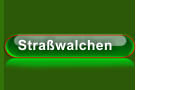 Straßwalchen